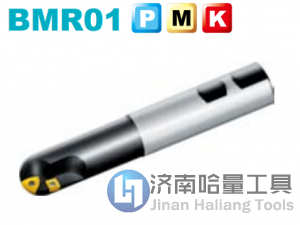 株洲钻石仿形铣刀BMR01-020-XP20-M全新正品
